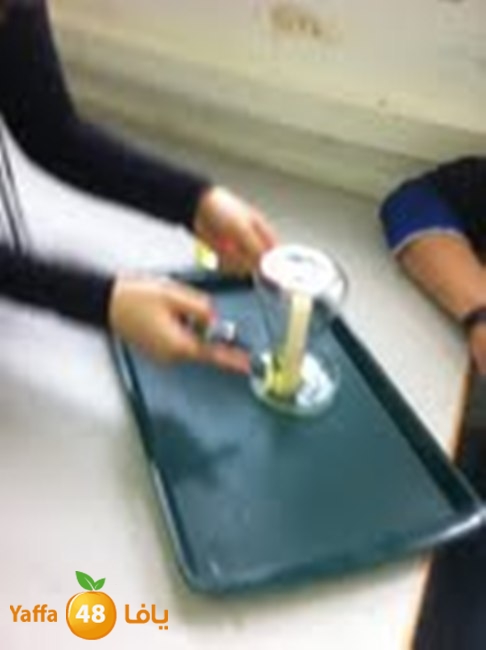 shamela320w (24).jpg